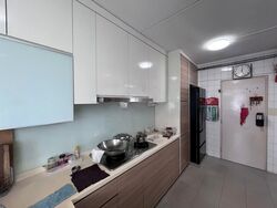 Blk 249 Compassvale Haven (Sengkang), HDB 4 Rooms #568860771